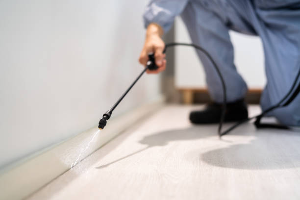 Licensed Cockroach Control service in Rogersville, AL - Nex Pest Control