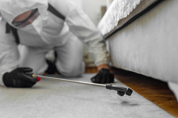 Professional Cockroach Control technician working in Rogersville, AL