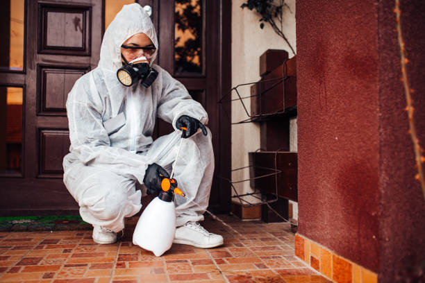Reliable Cockroach Control contractor in Rogersville, AL by Nex Pest Control
