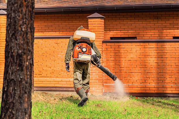 Trusted Termite Control service in Rogersville, AL - Nex Pest Control